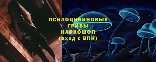 ECSTASY Снежинск
