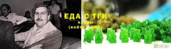 СК Снежногорск