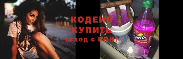 СК Снежногорск