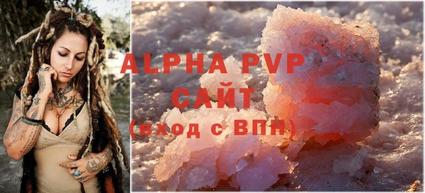 СК Снежногорск