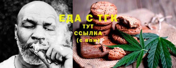 СК Снежногорск