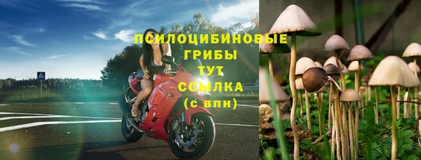 ECSTASY Снежинск